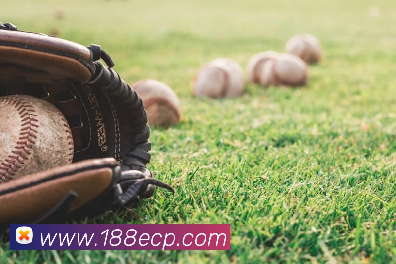 中彩网平台生态图