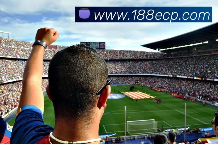 中彩网APP 封面图